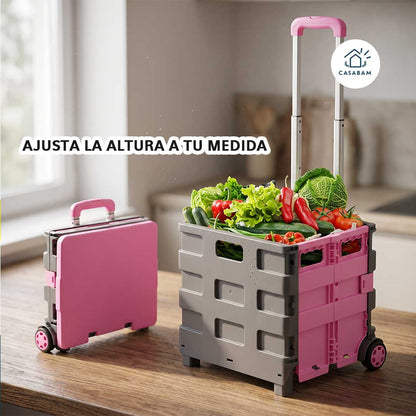 Carrito de Compras Plegable - Lleva el peso por ti - Haz tus compras sin cargar ni un kilo con tu espalda