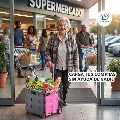 Carrito de Compras Plegable - Lleva el peso por ti - Haz tus compras sin cargar ni un kilo con tu espalda