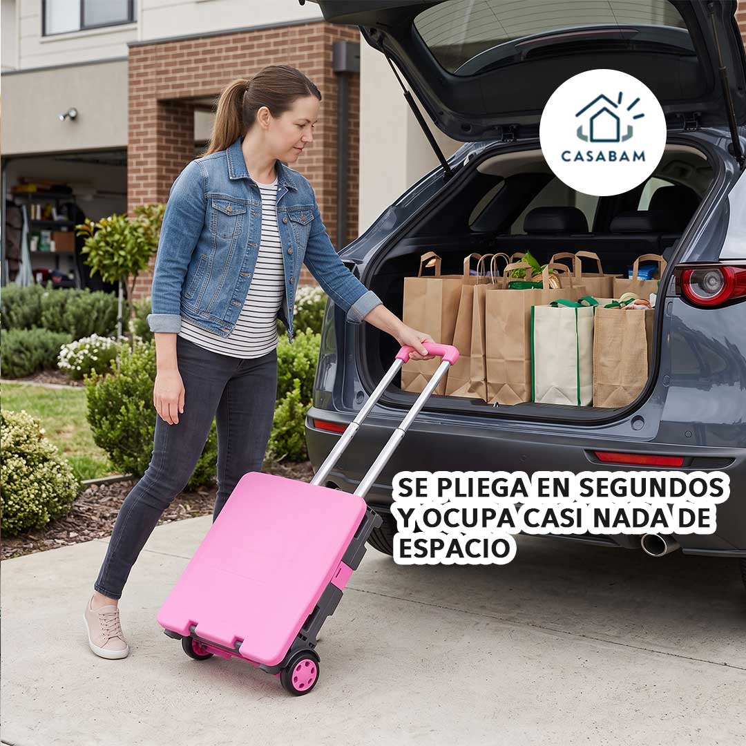 Carrito de Compras Plegable - Lleva el peso por ti - Haz tus compras sin cargar ni un kilo con tu espalda