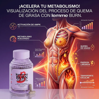 Lemme Burn – Quemador Natural – Activa tu metabolismo y reduce grasa abdominal cada día