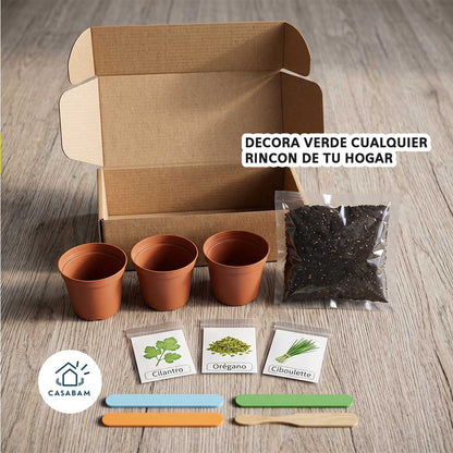 Mini Huertoterapia -  Para niños y adultos - Tu momento de calma, en solo unos minutos al día